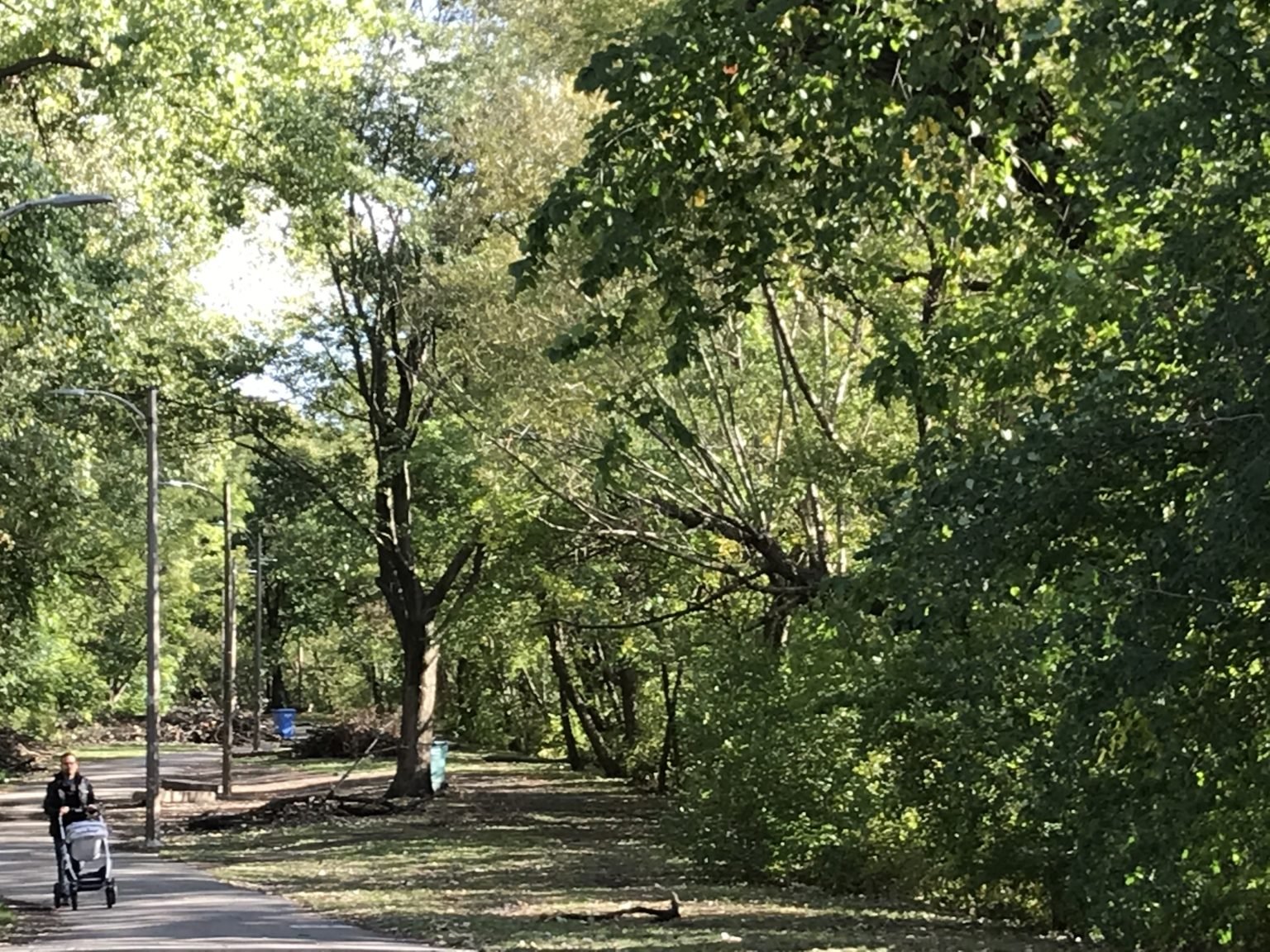 Richard Clark Park